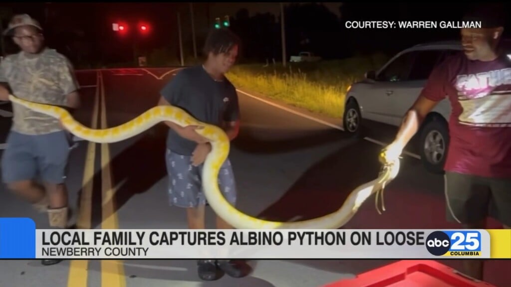 12 Foot Python On Loose Caught By Newberry County Family