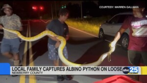 12 Foot Python On Loose Caught By Newberry County Family