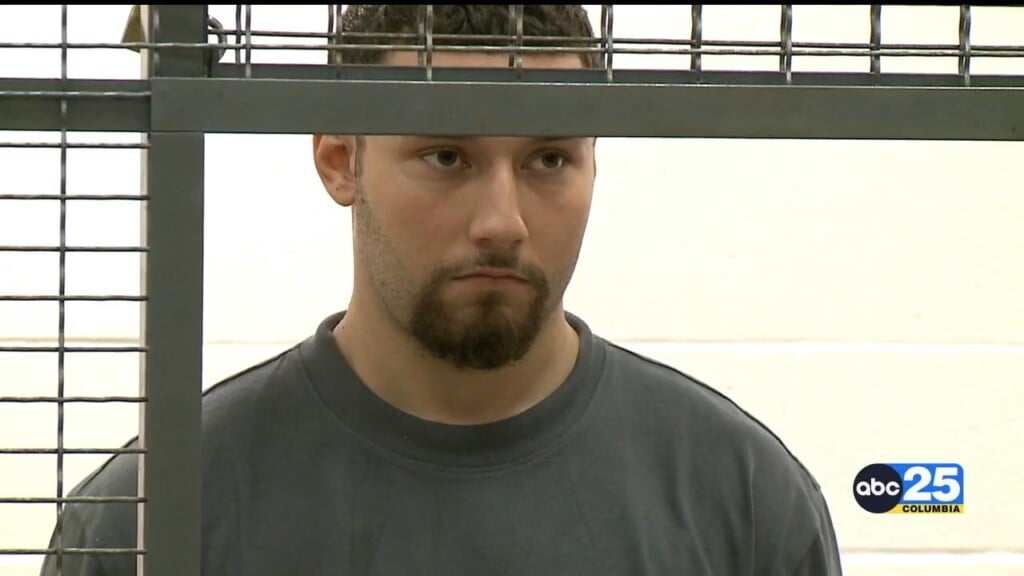 Elgin Man Out On Bond For Attempted Kidnapping Re Arrested, Accused Of Possessing Child Pornography