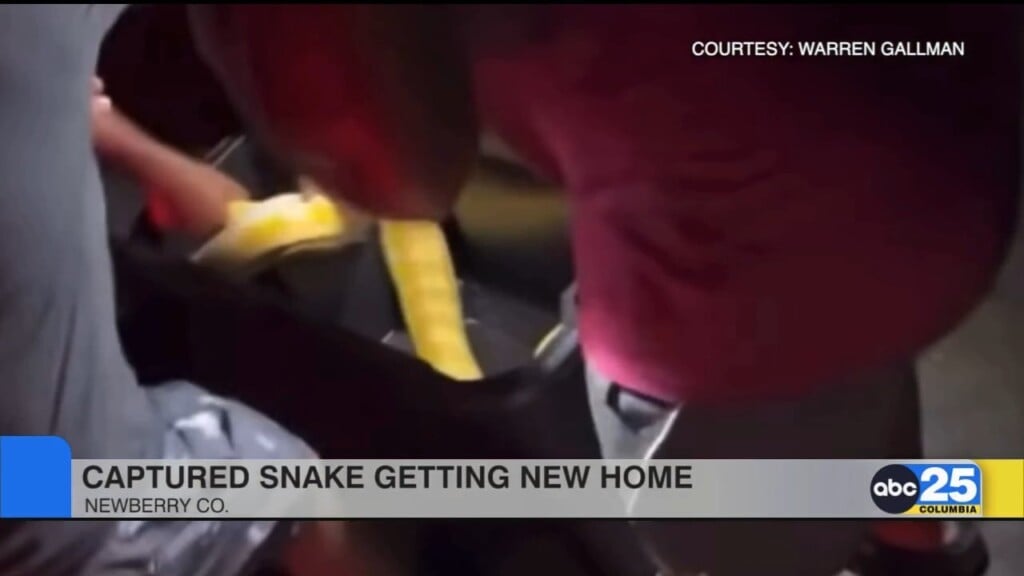 Snake Captured In Newberry County Getting New Home