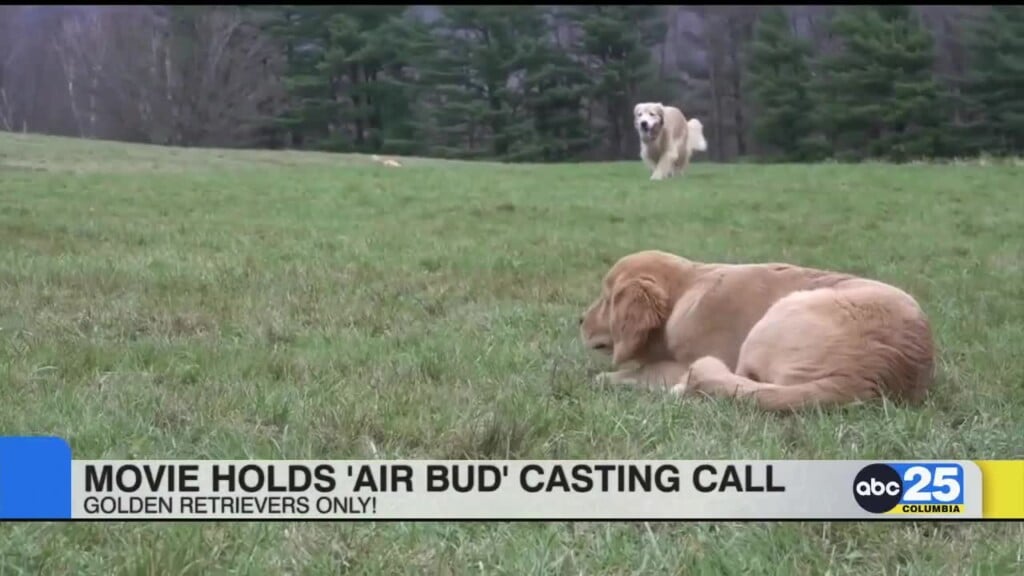 Casting Opens For Next "air Bud” Movie