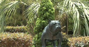 Sc State University Receives Grant To Award Scholarships