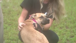 Cola Pet Of The Week: Noel