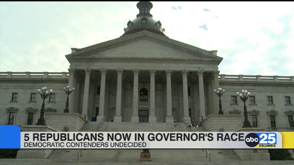 5 Republicans Race To Governor's Office As Democratic Candidates Remain Undecided, Sc Chairs React