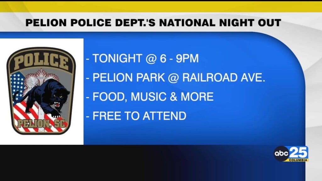 Pelion National Night Out