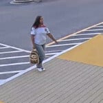 Kohl's theft (Lexington)