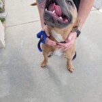 Sam