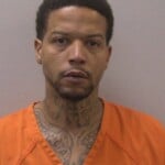 Gray Joshua Rosteaux