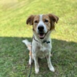 Bernie