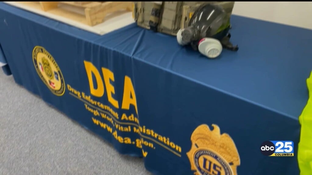 Behind The Scenes Of Dea Columbia