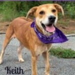 Keith