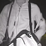attempted burglary in the Ashley Crest area