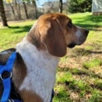George