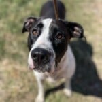 Ellie