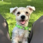 Finnley