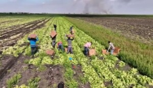 Labor Shortage Could Affect Food Supply