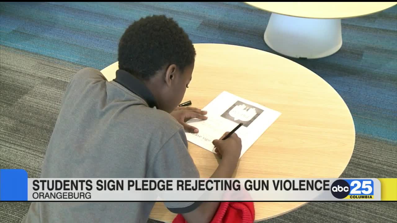 Taking the pledge - students sign promise to reject gun violence - ABC ...