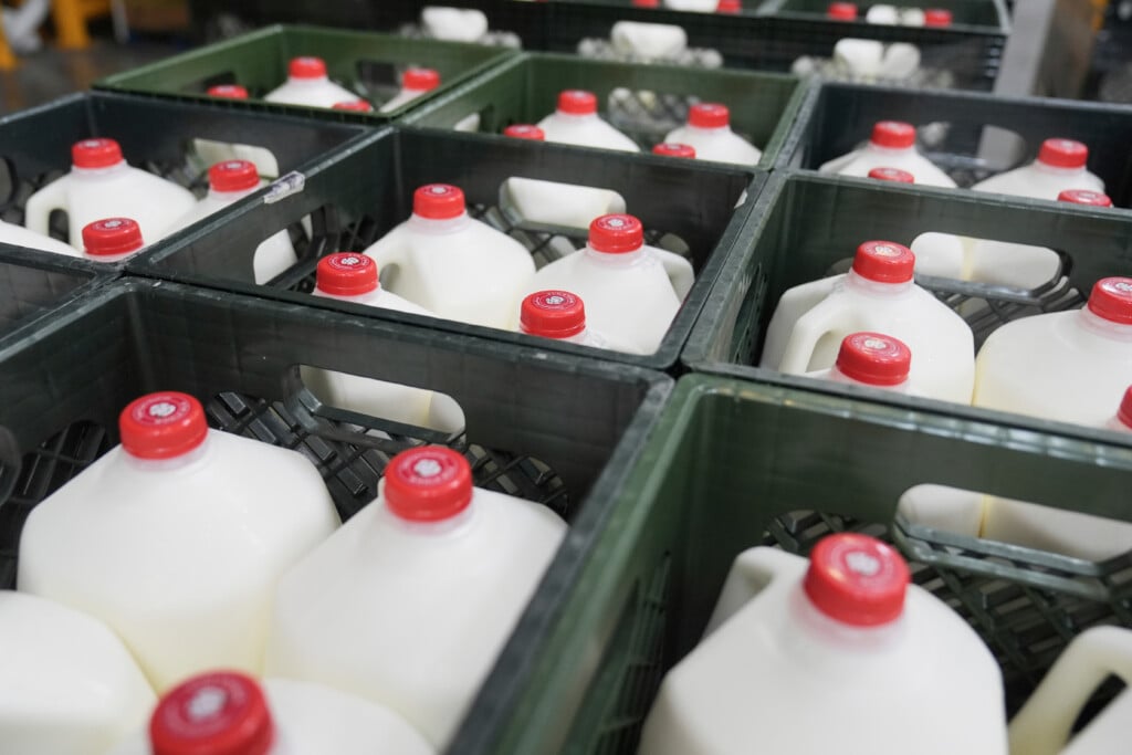 Government Shutdown Food Aid What To Know