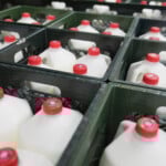 Government Shutdown Food Aid What To Know