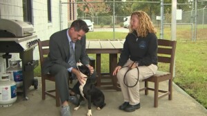 Pet Of The Week: Pluto