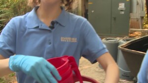 Riverbanks Flamingos Supercut