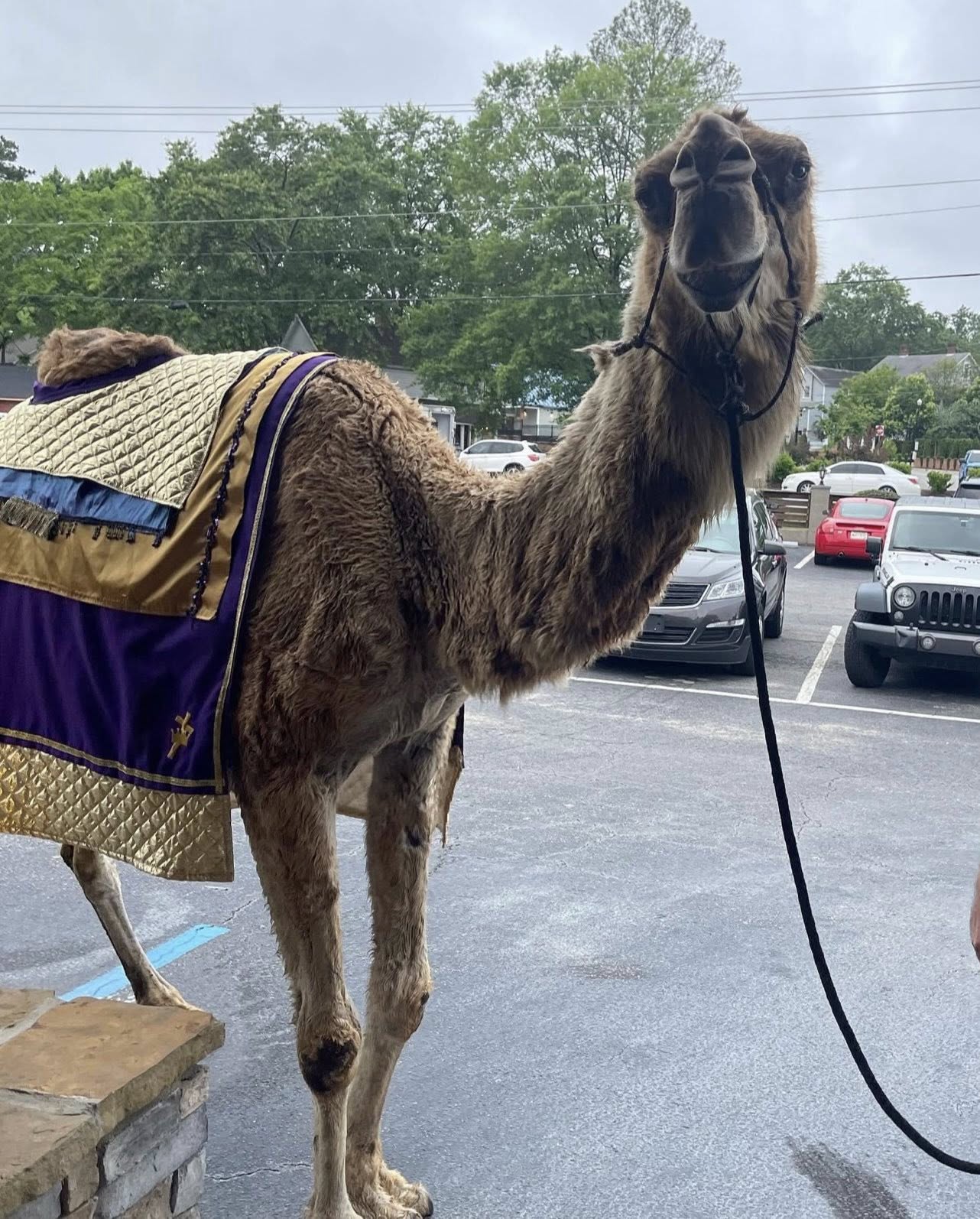 20251007abraham2-abc-columbia