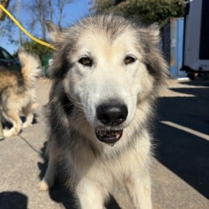 Alaska