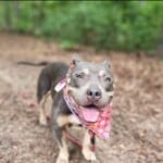 Rosie