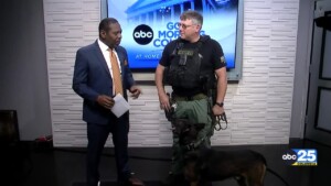 Law Dog Glow Run Preview