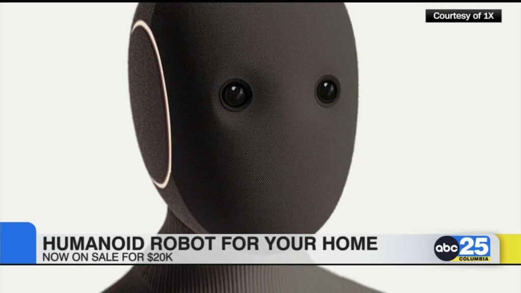 Humanoid Robot For Your Home On Sale