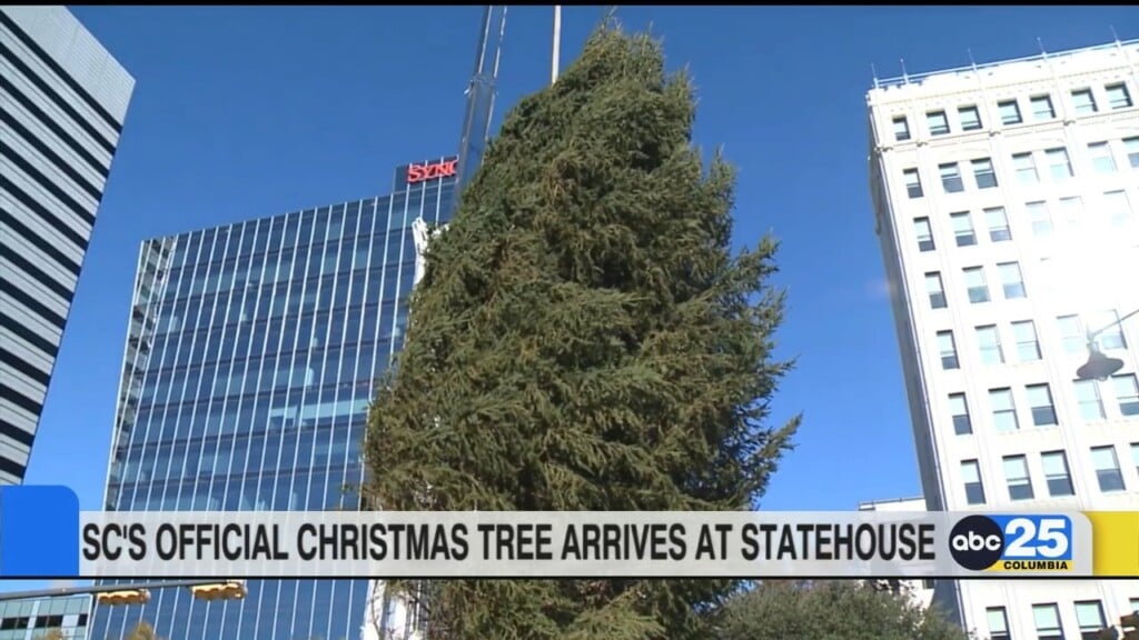 Sc's Official Christmas Tree Arrives At Statehouse