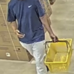 Best Buy shoplifter