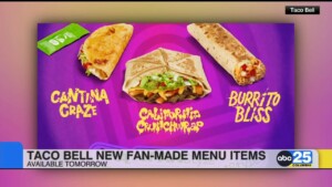Taco Bell New Fan Made Menu Items