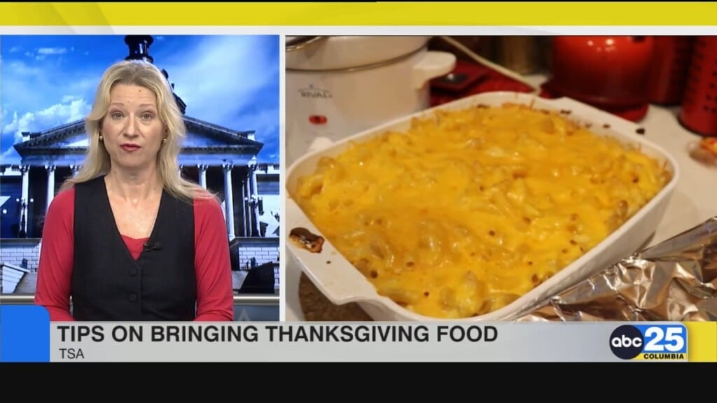 Tips On Thanksgiving Airport Travel Food