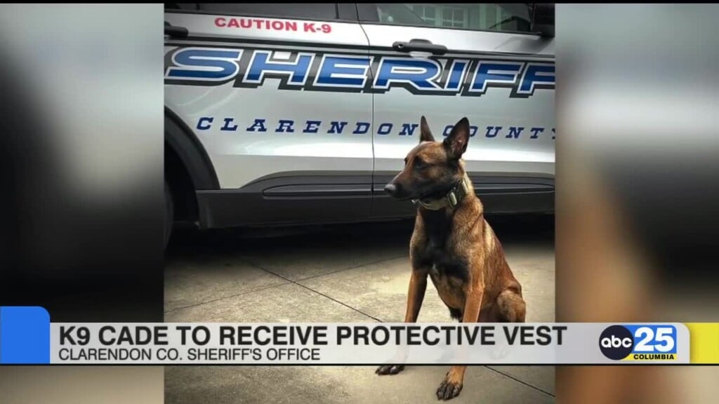 K9 Cade To Receive Protective Vest