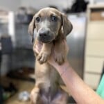 Went With That One Family