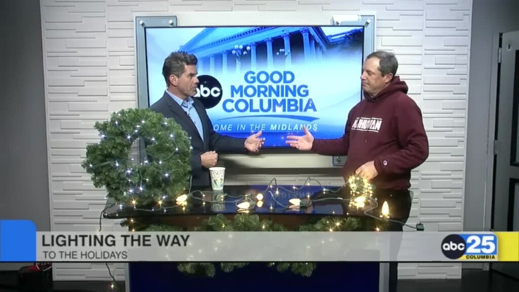 Christmas Light Safety