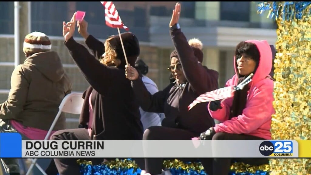 City Of Columbia Holds 47th Annual Veterans Day Parade