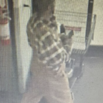 Food Lion shoplifter