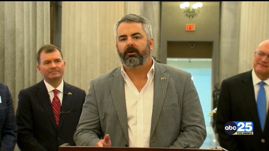 South Carolina Healthcare Officials Unveil Brain Health Tool Kit