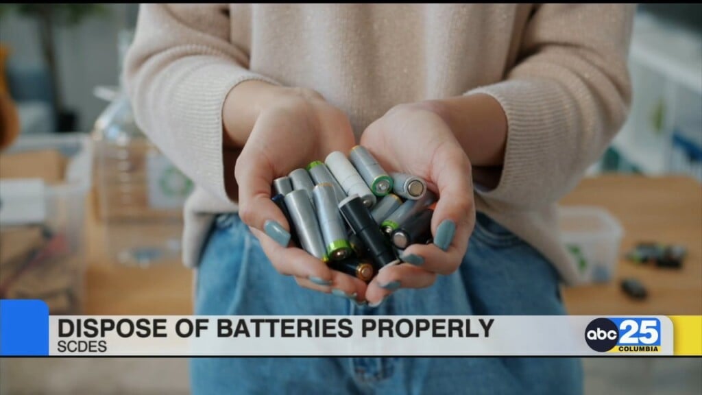 Dispose Of Batteries Properly