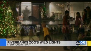 Local Living December 29, 2025