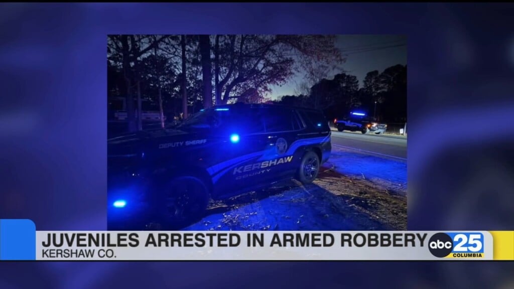 2 Juveniles In Custody In Connection With An Armed Robbery