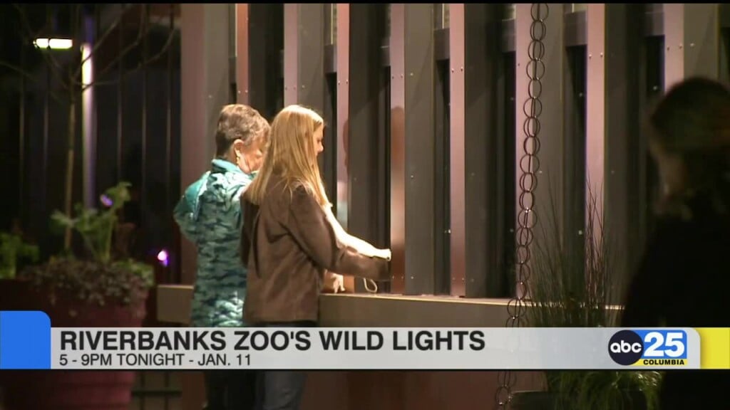 Local Living December 15, 2025