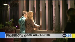 Local Living December 15, 2025