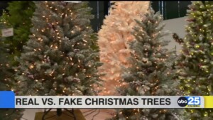 Real Vs. Fake Christmas Trees