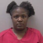 Shell Jasmine Denise