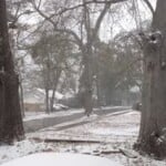 20260131lesliegilroy