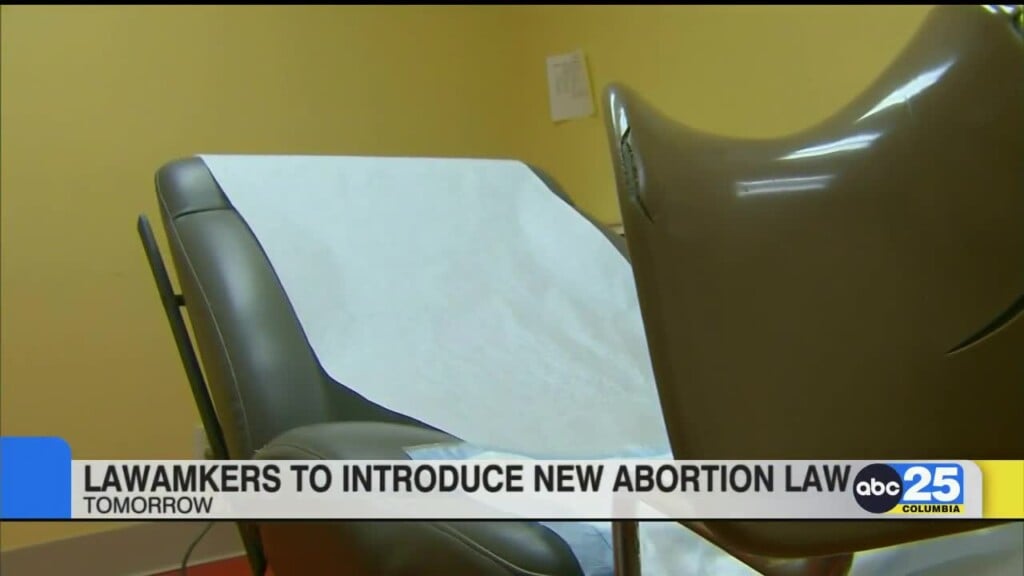 Sc Lawmakers Plan To Introduce New Legislation On Abortion This Session