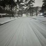 20260201shelburnemcgovern